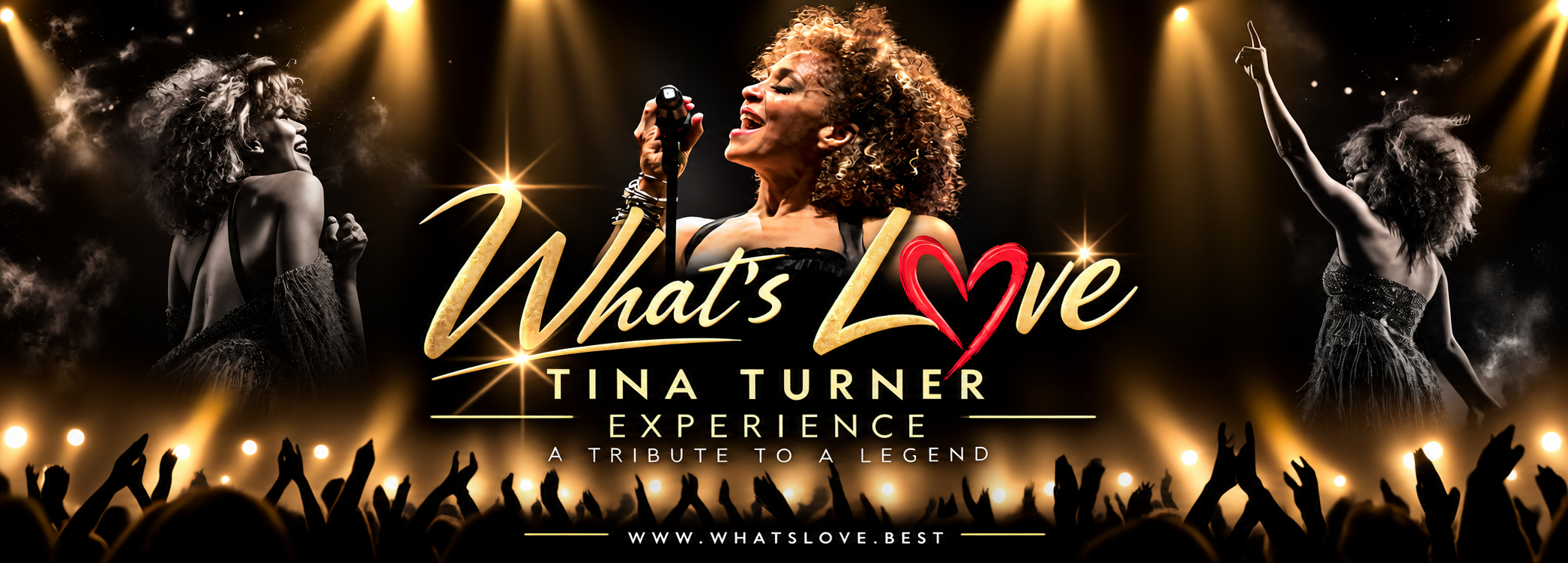 What's Love Tribute Tina Turner