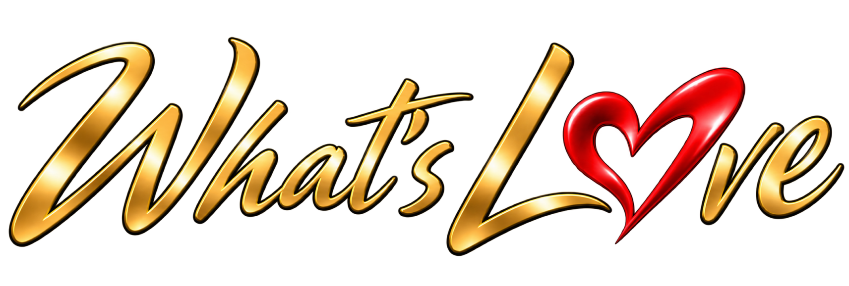 What's Love Tribute Tina Turner